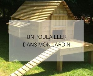 Un poulailler dans son jardin - TH LEMAN